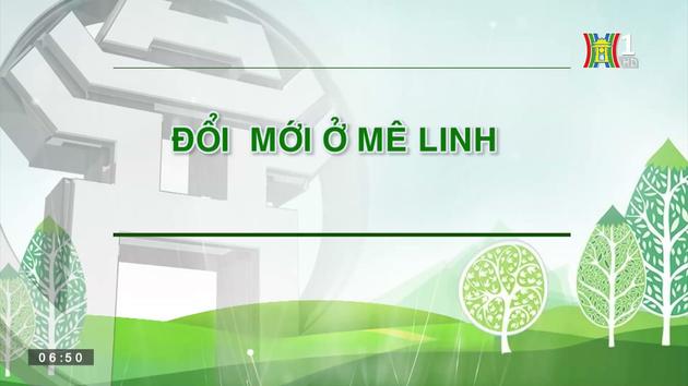 Đổi mới ở Mê Linh| Nông thôn mới Hà Nội| 3/9/2023