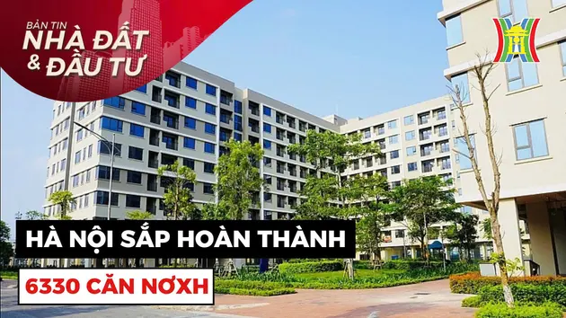 Bản tin Nhà đất và đầu tư | 01/09/2024