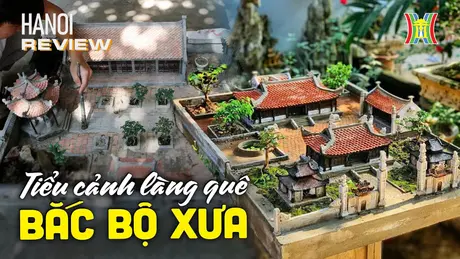 Tái hiện vẻ đẹp làng quê Bắc Bộ xưa qua tiểu cảnh | HANOI Review | 02/11/2024