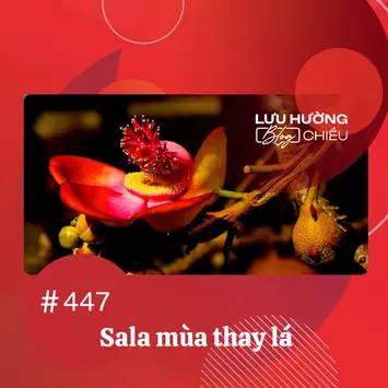 Sala mùa thay lá 