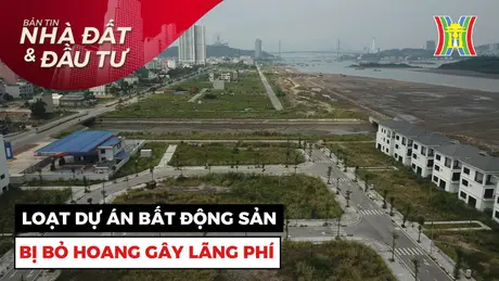 Bản tin Nhà đất và đầu tư | 03/11/2024