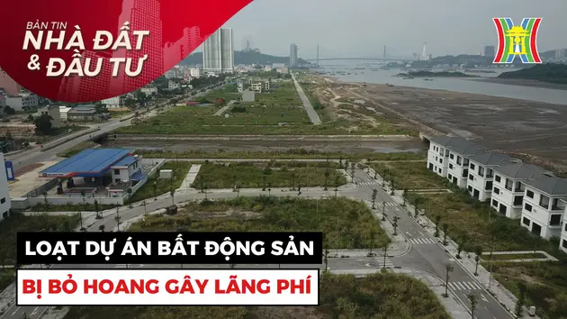 Bản tin Nhà đất và đầu tư | 03/11/2024