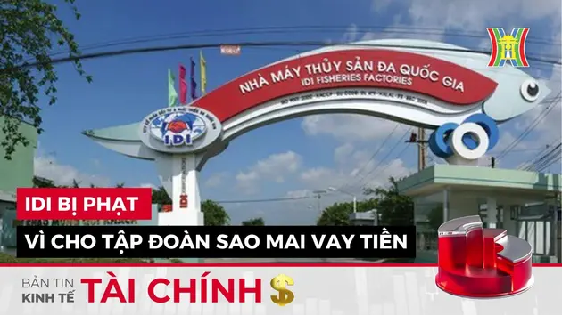 Bản tin Kinh tế Tài chính | 03/12/2024