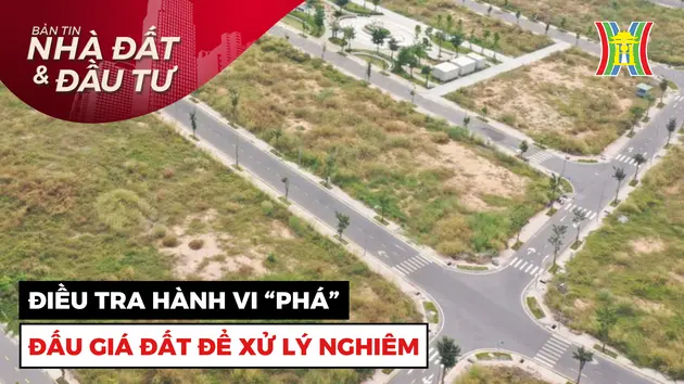 Bản tin Nhà đất và đầu tư | 03/12/2024