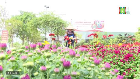 Tình nguyện vì môi trường xanh, sạch đẹp