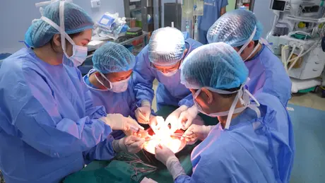 Nhiều bệnh nhân được ghép tạng trong kỳ nghỉ lễ