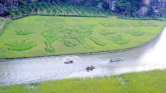 Đài Hà Nội