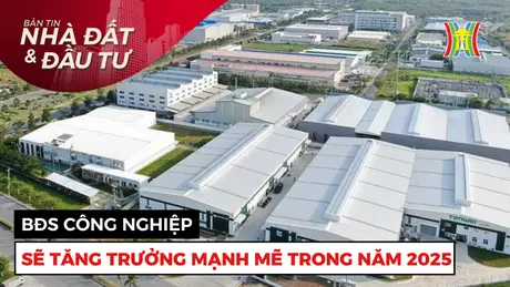 Bản tin Nhà đất và đầu tư | 05/01/2025