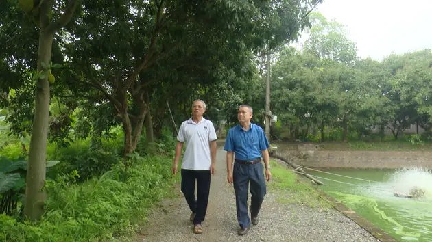 'Lão nông' biến đất hoang thành trang trại tiền tỷ | Người tốt quanh ta | 05/06/2025
