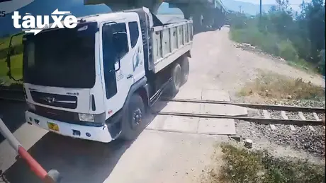 Tai nạn đường sắt tăng mạnh, Bộ Xây dựng chỉ đạo nóng | Bản tin Tàu và Xe | 05/06/2025