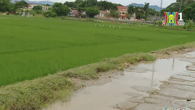 Đài Hà Nội