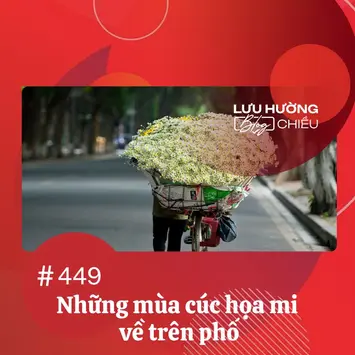 Những mùa cúc họa mi về trên phố 