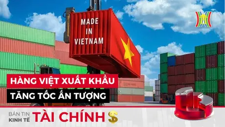 Bản tin Kinh tế Tài chính | 05/11/2024