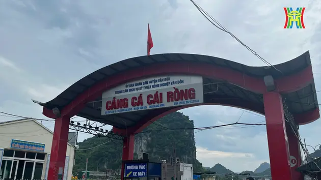 Đài Hà Nội