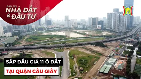 Bản tin Nhà đất và đầu tư | 07/01/2025