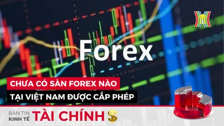 Bản tin Kinh tế Tài chính | 07/05/2024