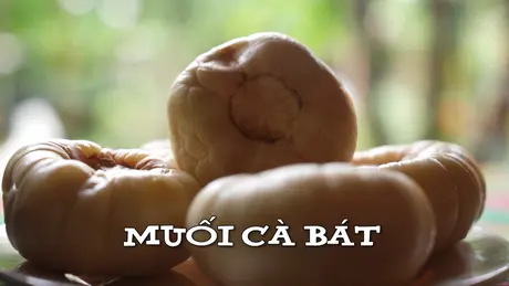 Muối cà bát | Nhịp sống Hà Nội | 07/05/2025