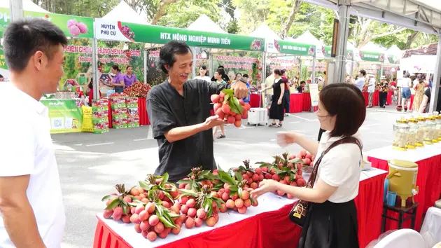 Phiên chợ vải Hưng Yên khai mạc với nhiều sản phẩm OCOP