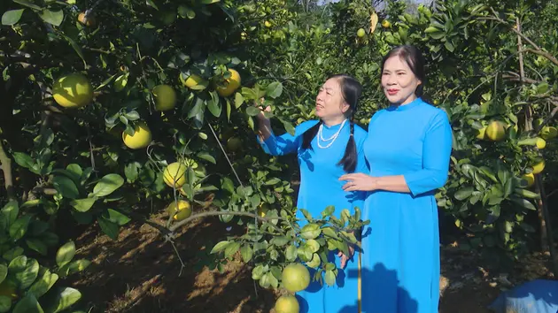 Nông nghiệp du lịch | Chuyển đổi xanh | 07/06/2025