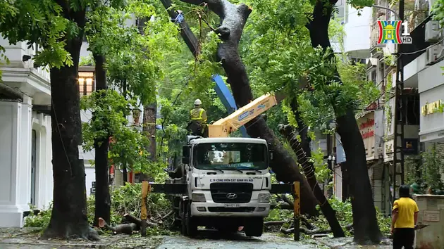 Hà Nội dọn cây xanh gãy đổ ngay trong mưa bão