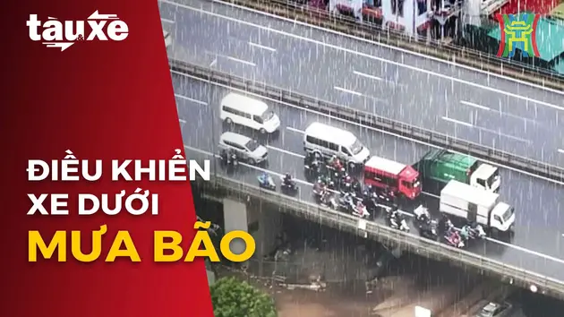 Lưu ý khi điều khiển xe dưới trời mưa bão | Bản tin Tàu và Xe | 07/09/2024