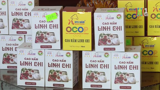 Đưa sản phẩm OCOP ra thị trường thế giới