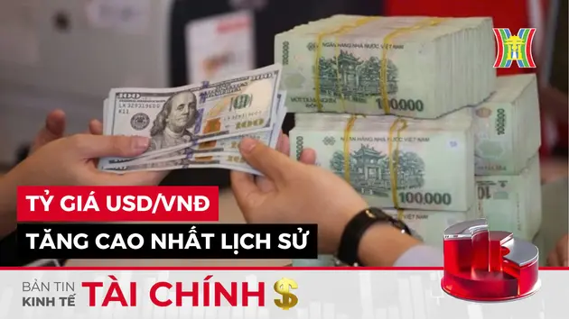 Bản tin Kinh tế Tài chính | 07/11/2024