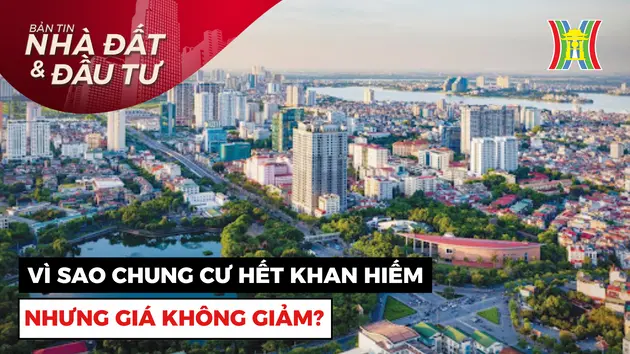 Bản tin Nhà đất và đầu tư | 07/11/2024