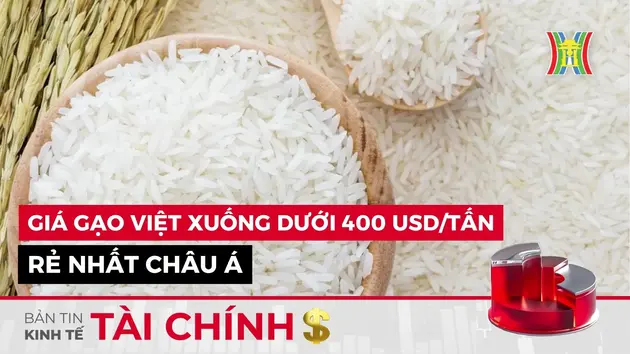 Bản tin Kinh tế Tài chính | 08/02/2025