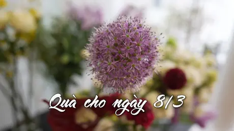 Quà cho ngày 8/3 | Nhịp sống Hà Nội | 08/03/2025