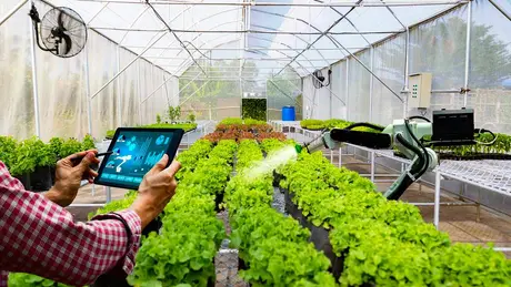 Chuyển đổi số từ đồng ruộng đến trang trại | 06/05/2025