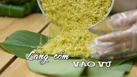 Làng cốm vào vụ | Nhịp sống Hà Nội | 08/05/2025