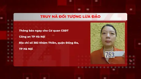 Nữ giám đốc vẽ tour để lừa đảo khách hàng