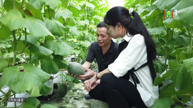 Đẩy mạnh ứng dụng công nghệ số vào nông nghiệp | Chuyện ở ngoại thành | 08/07/2023