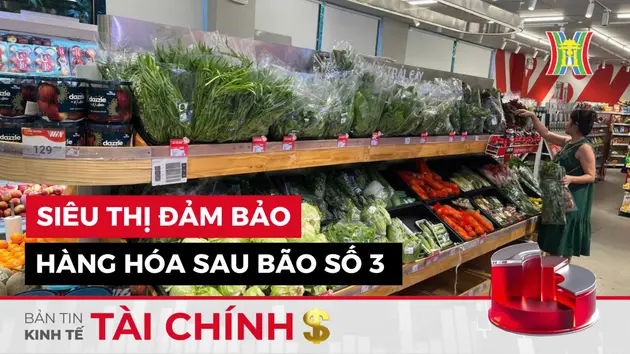 Bản tin Kinh tế Tài chính | 08/09/2024