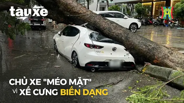 Nhiều xe ô tô hư hỏng nặng sau bão Yagi | Bản tin Tàu và Xe | 08/09/2024