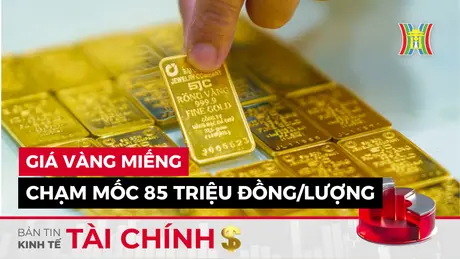 Bản tin Kinh tế Tài chính | 08/10/2024