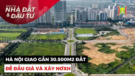 Bản tin Nhà đất và đầu tư | 08/12/2024