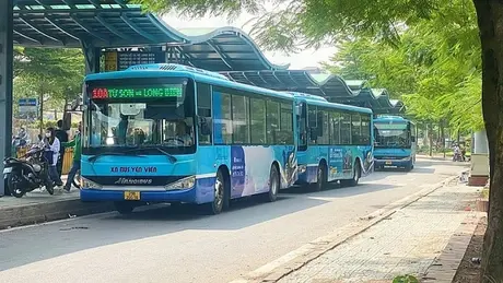 Hơn 230 triệu lượt khách đi xe buýt Transerco trong năm 2024