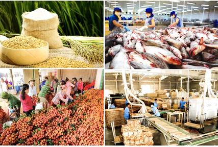 Tuyên truyền Luật an ninh mạng và tác hại thuốc lá điện tử