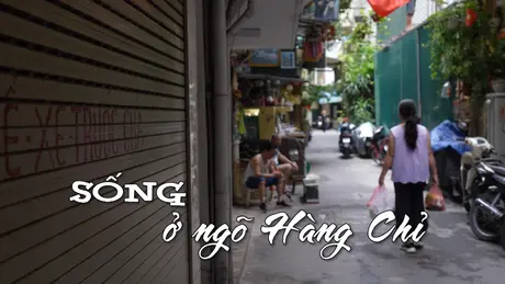 Sống ở ngõ Hàng Chỉ | Nhịp sống Hà Nội | 09/06/2025