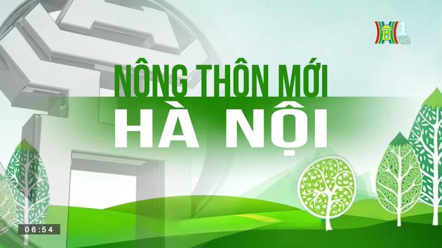 Cuộc sống ở 'Thôn thông minh' | Nông thôn mới Hà Nội | 09/07/2023