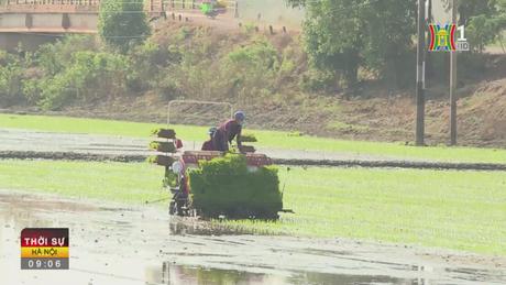 Hà Nội chuyển mục đích sử dụng hơn 300ha đất nông nghiệp
