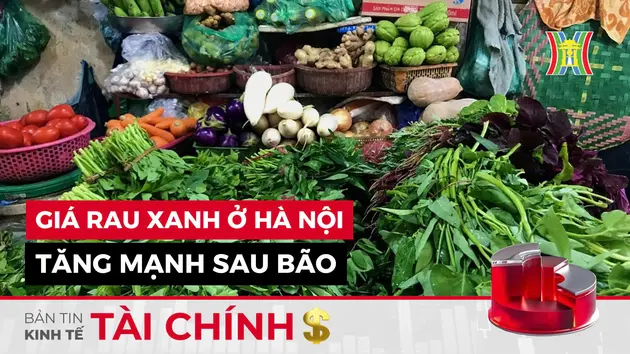 Bản tin Kinh tế Tài chính | 09/09/2024