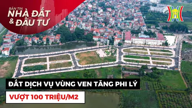 Bản tin Nhà đất và đầu tư | 09/11/2024