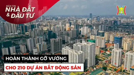 Bản tin Nhà đất và đầu tư | 10/01/2025