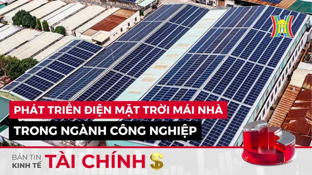 Bản tin Kinh tế Tài chính | 10/01/2025