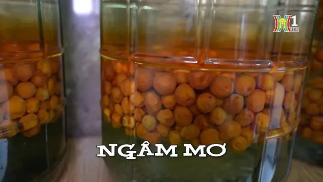 Ngâm mơ | Nhịp sống Hà Nội | 10/05/2024