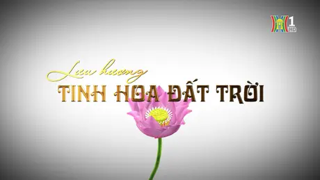 Lưu hương tinh hoa đất trời | Di sản kể chuyện | 10/12/2024