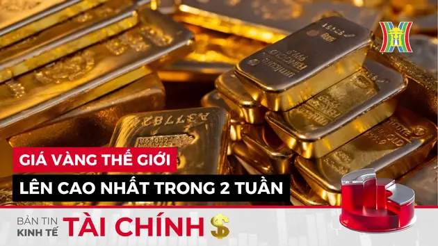 Bản tin Kinh tế Tài chính | 10/12/2024